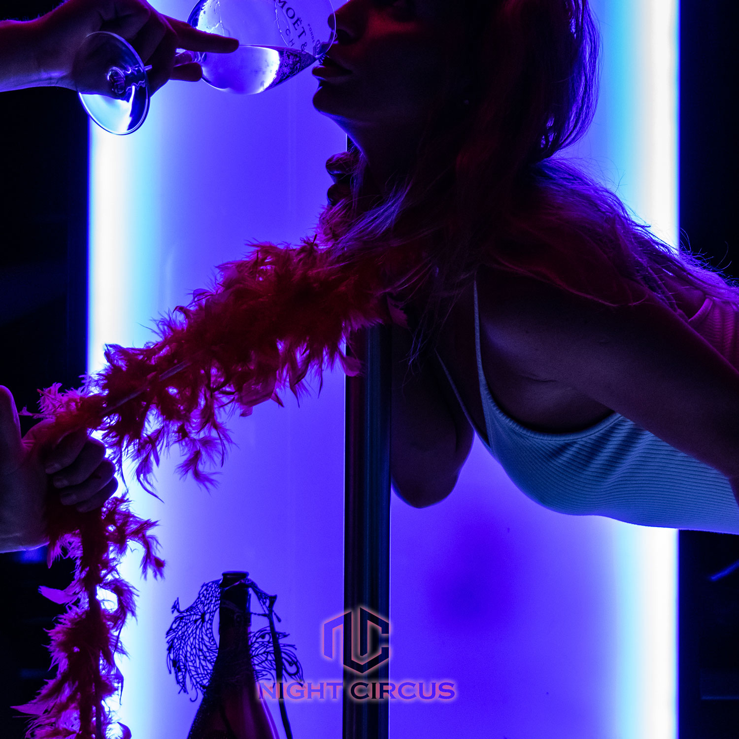 Night Circus